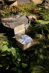 Eine festliche Box mit Luxus für alle fünf Sinne (limitiert auf 40 Stück)