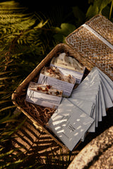 Eine festliche Box mit Luxus für alle fünf Sinne (limitiert auf 40 Stück)